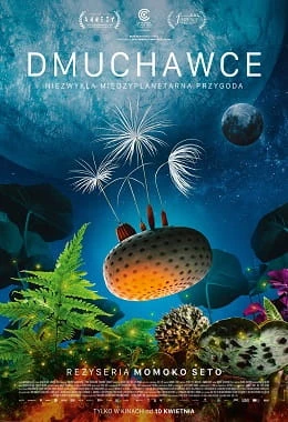 DMUCHAWCE